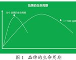 大搞社会化营销的品牌们，到底在“发什么疯”