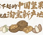 冷知识打开流量大门 淘宝新产地全面曝光坚果原产地