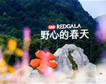 小红书REDGALA 2.0落地峨眉山，众星云集共赴春日野心之约
